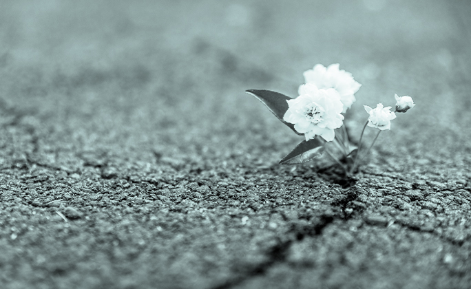Resilienztraining, Selbstqualitäten steigern